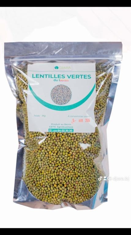 Lentille verte